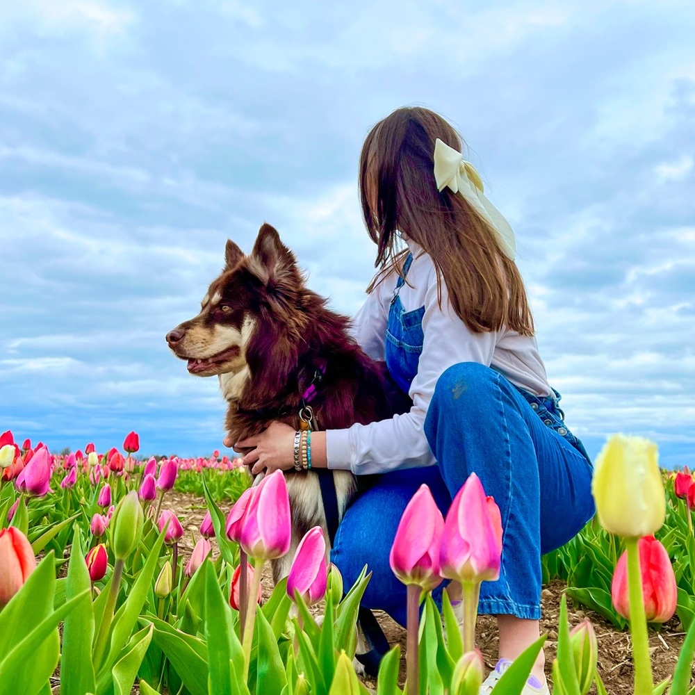 Meet your Posher, Lexie